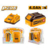 P20S Lithium-Ion battery and charger kit - FBCPK1214
