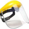Face shield
