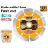 Dry diamond disc - DMD011802