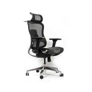 Ergonomic Chairv